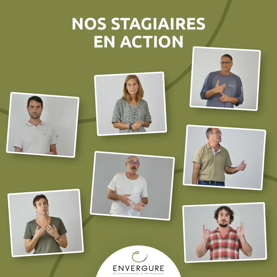 Image des stagiaires de la société Envergure en action