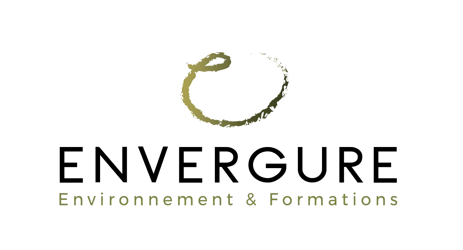 Logo de la sociéte Envergure Formation et Environnement à la Réunion 974